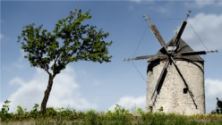 windmill250